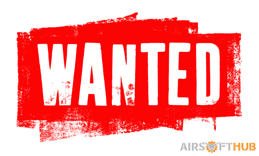WANTED  WE G series mags - Used airsoft equipment