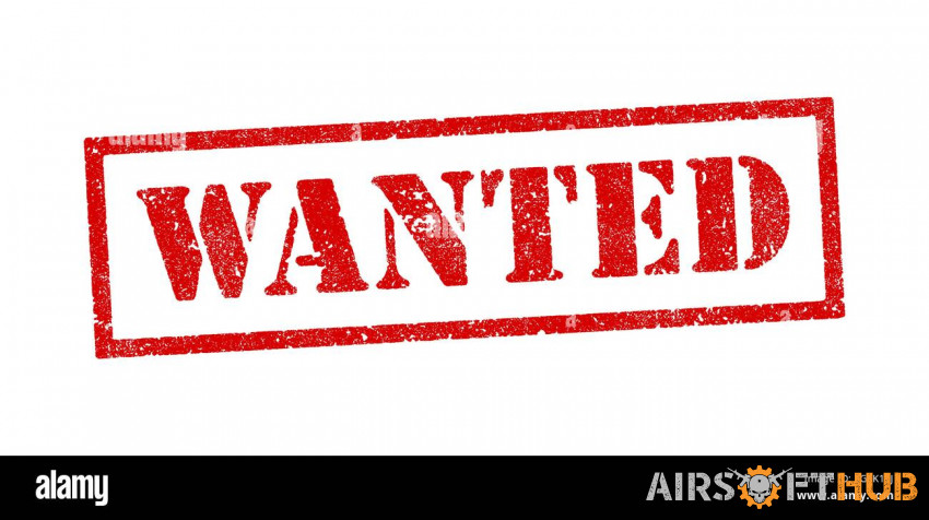 Wanted: mws mags - Used airsoft equipment