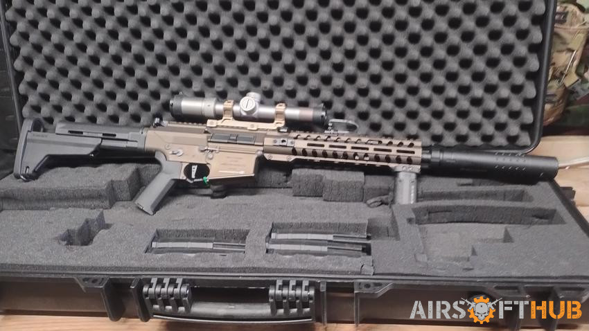 Ares 308 with 5 mags - Used airsoft equipment