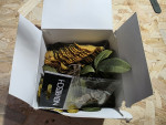 Novritsch Ghillie Leaves LC1 L - Used airsoft equipment
