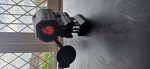 Vortex SPARC AR Red Dot Optic - Used airsoft equipment