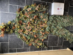 KMCS 2.0 ghillie suit & bits - Used airsoft equipment