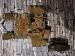 Onetigris plate carrier - Used airsoft equipment