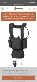 WANTED*     Chest rig - Used airsoft equipment