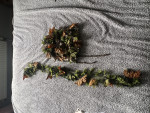 Full ghillie suit - Used airsoft equipment