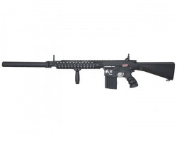 WANTED SR25 - Used airsoft equipment