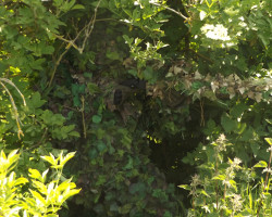 Ghillie suit/crafting material - Used airsoft equipment