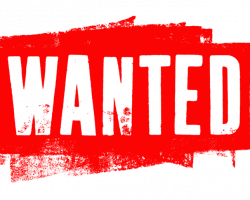 MP9 WANTED - Used airsoft equipment