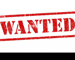 Wanted: gbb g28, m110, sr25 - Used airsoft equipment