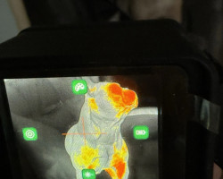 Thermal Infiray HOLO HL13 - Used airsoft equipment